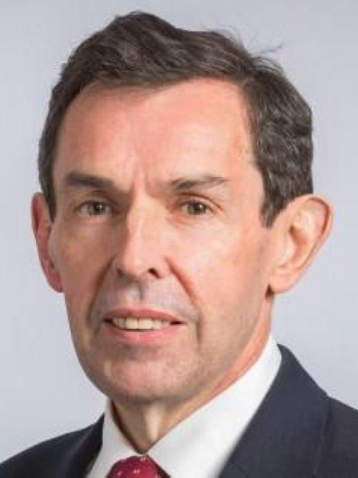 Flor Healy, Non-exec director